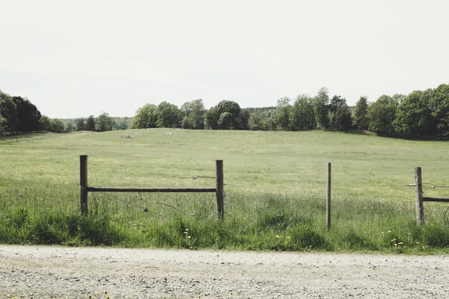 Terreno 10,000 m² 0e9c753f-e296-49e0-82dd-e8262b990ea8