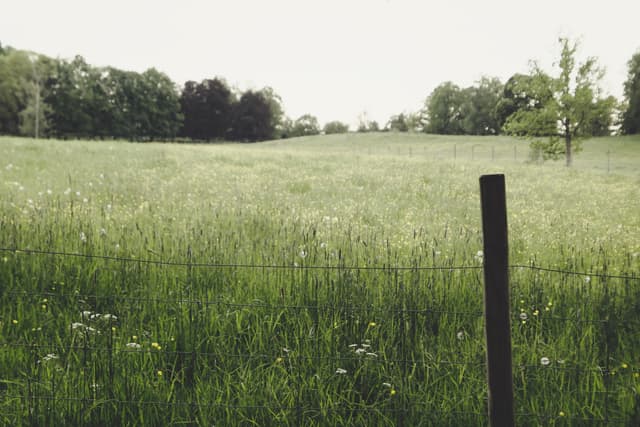 Terreno 10,000 m² 0e9c753f-e296-49e0-82dd-e8262b990ea8